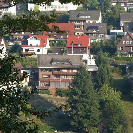 Haus Krick Apartamento Alpirsbach Exterior foto