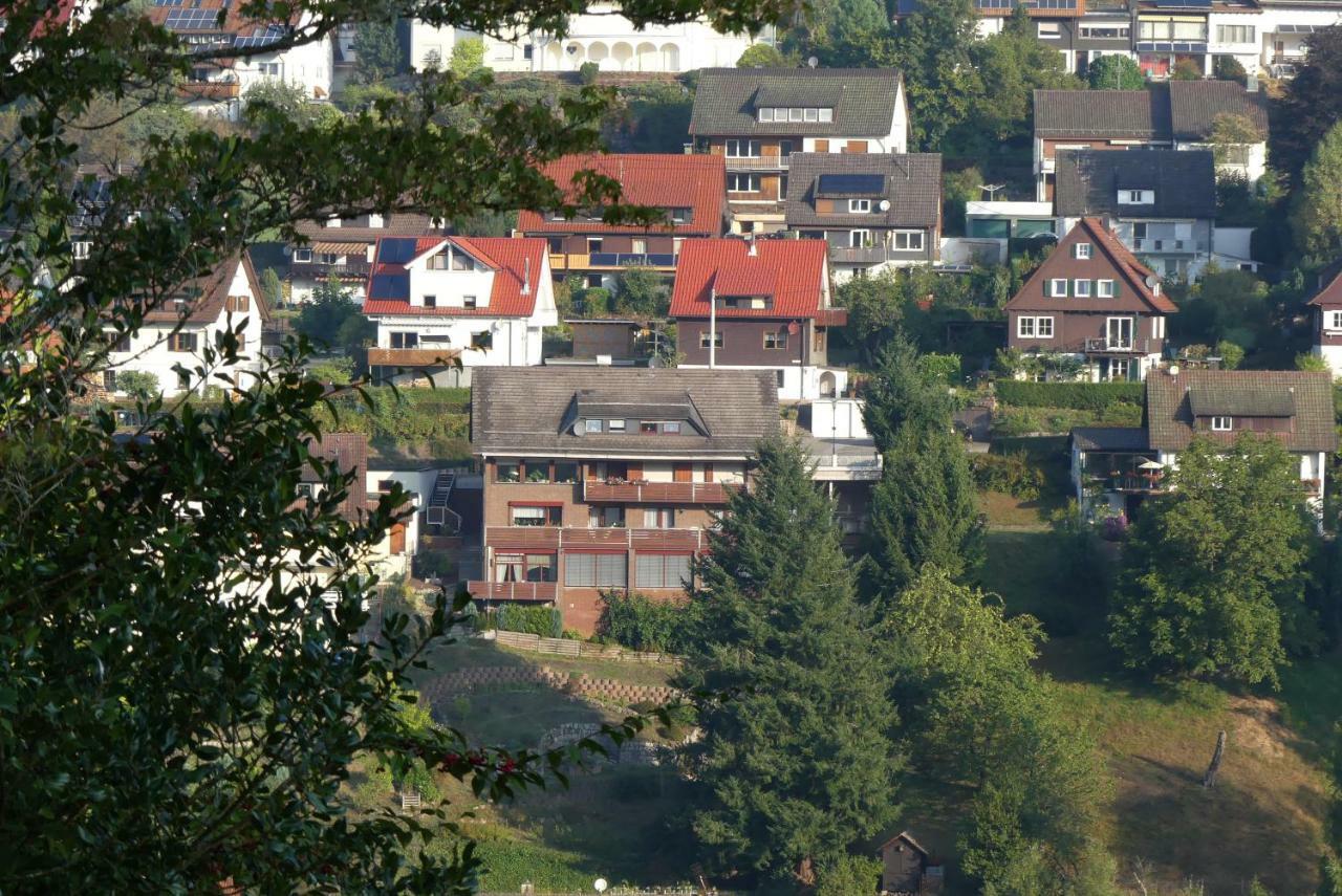 Haus Krick Apartamento Alpirsbach Exterior foto